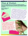 2026SummerNewsletter Page 11 Image 0001